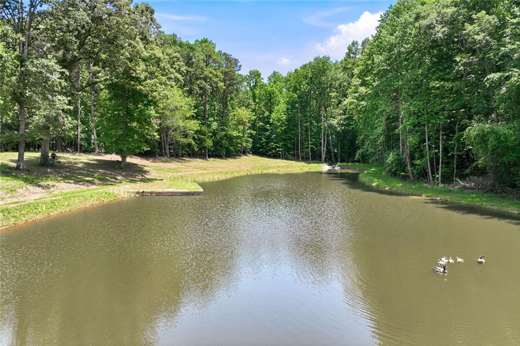 3735 Smithtown Road Suwanee, GA 30024 - Photo 6 of 29