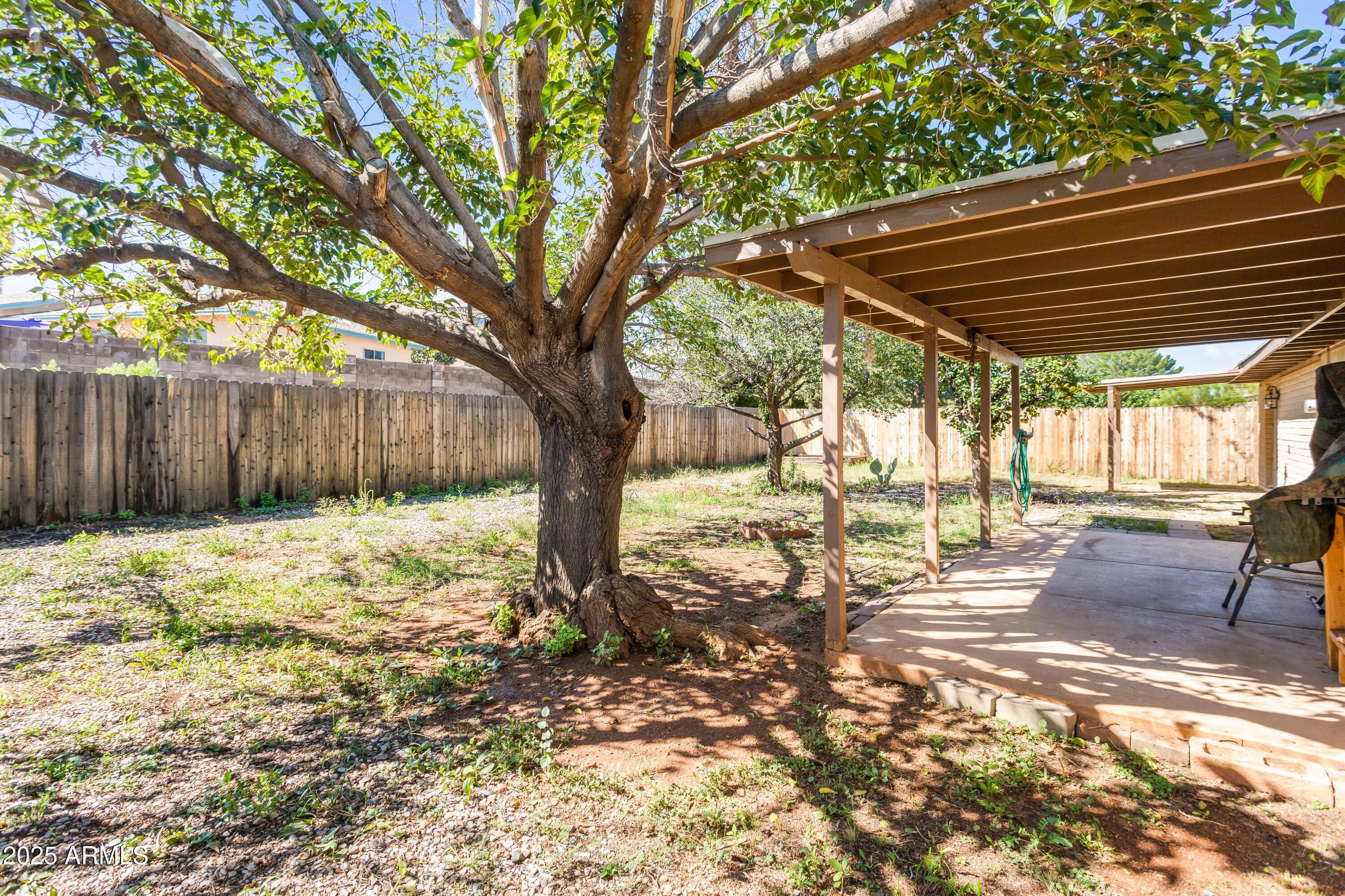 4964 East Raffaele Avenue Sierra Vista, AZ 85635 - Photo 37 of 41 a backyard of a house with a large tree