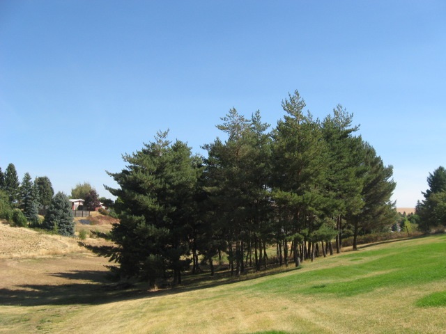 502 West Hamilton Road Fairfield, WA 99012 - Photo 4 of 13