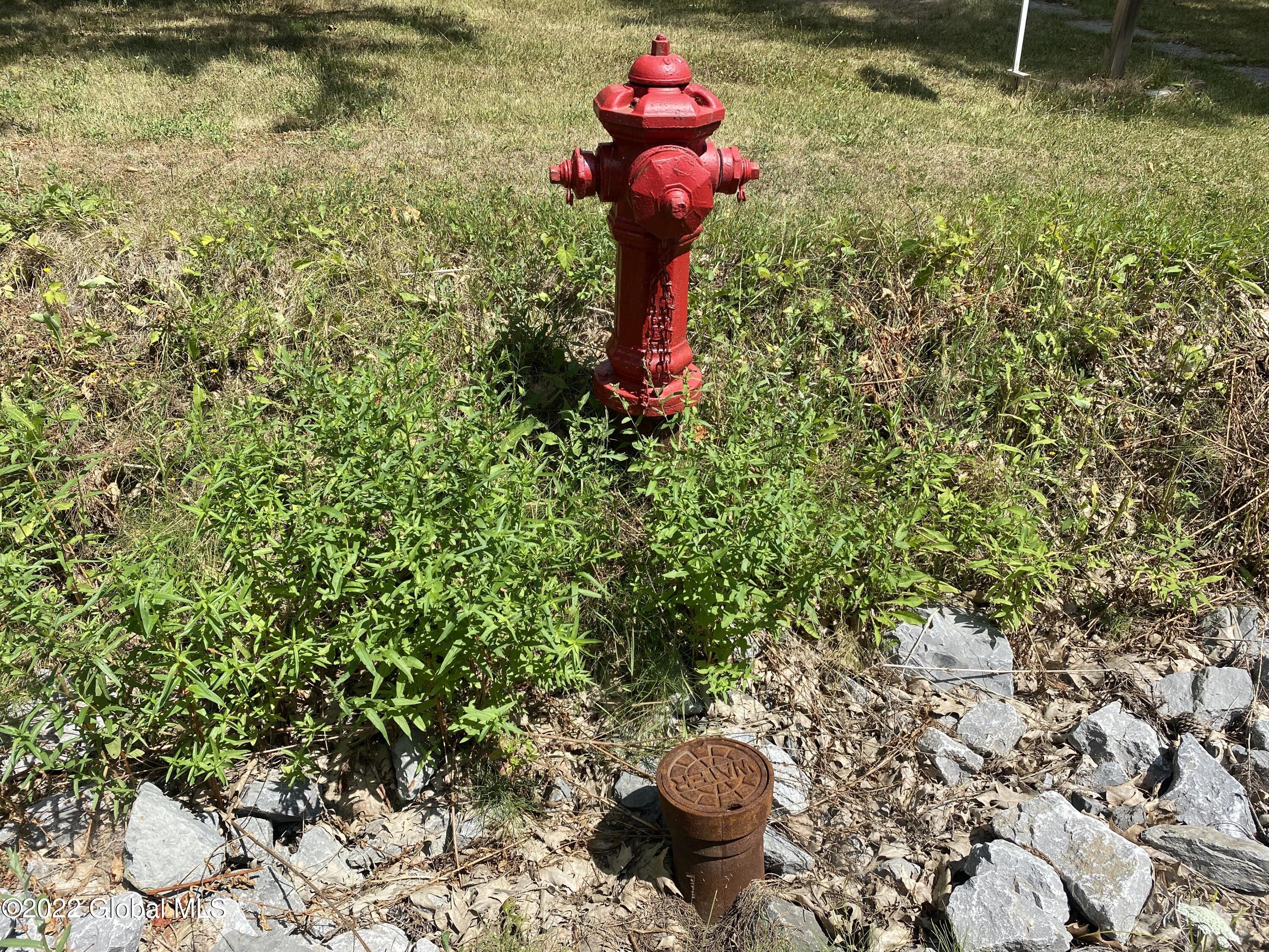 47 School Road Voorheesville, NY 12186 - Photo 36 of 50 IMG_7765