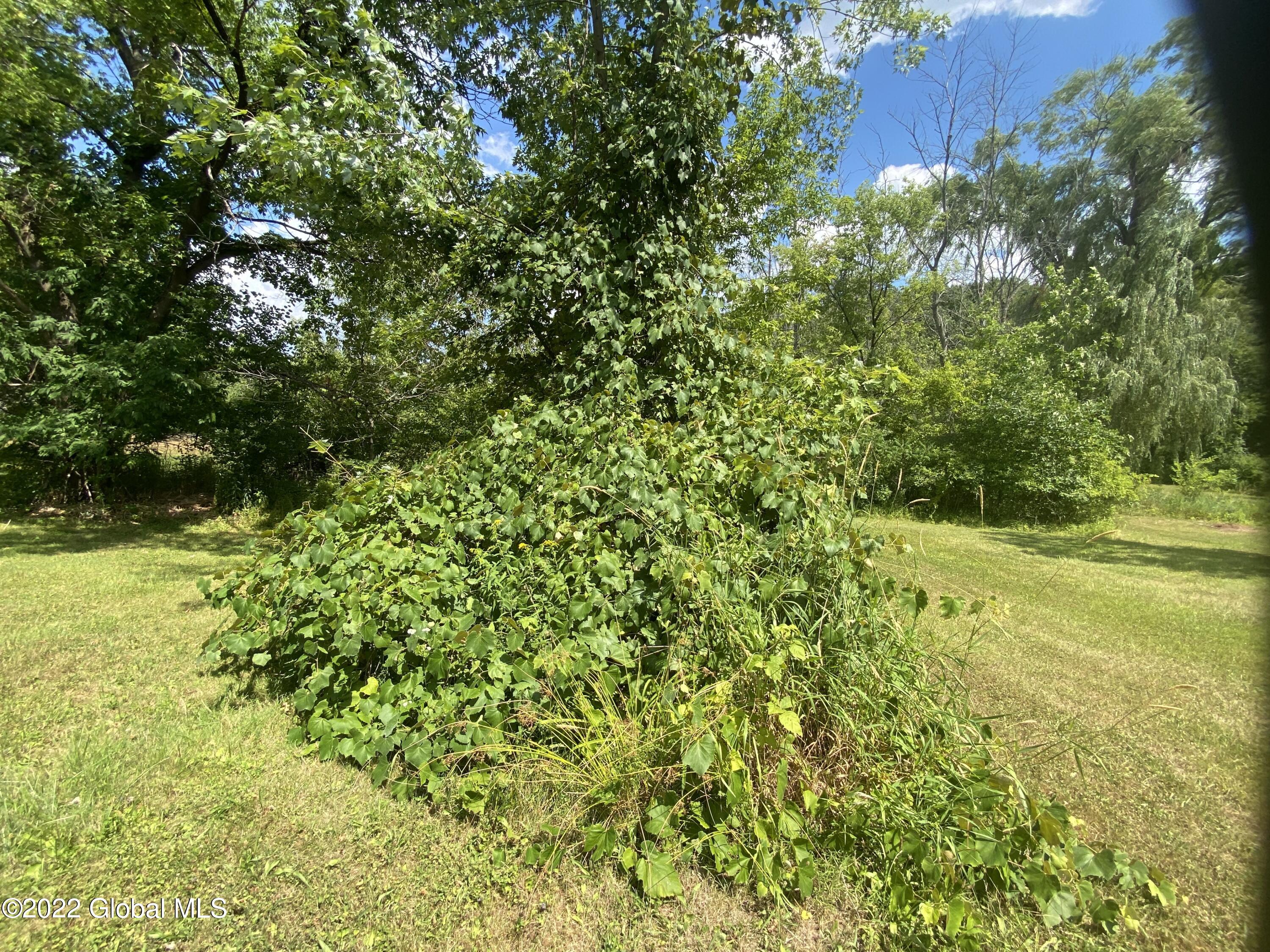 47 School Road Voorheesville, NY 12186 - Photo 43 of 50 IMG_7779