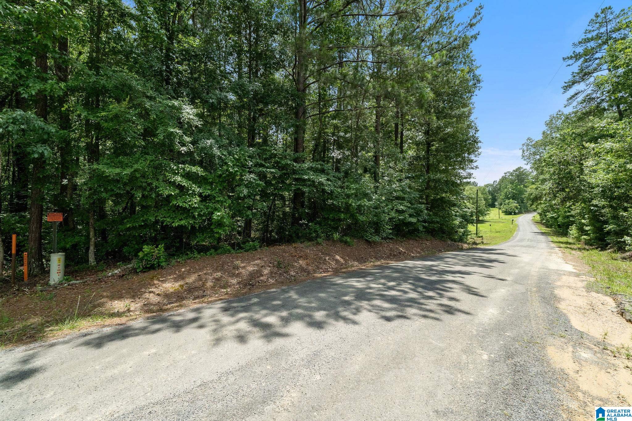 0 Waldrop Road, Unit 1 Ashville, AL 35953 - Photo 13 of 13