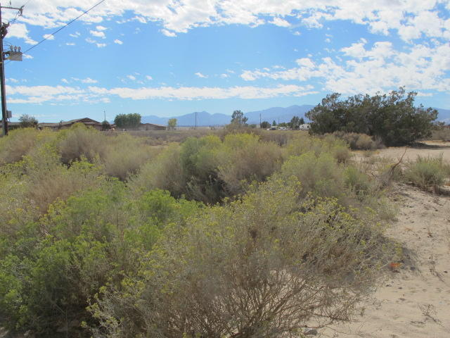 Mesa Road Phelan, CA 92371 - Photo 3 of 5 a view of lake with mountain