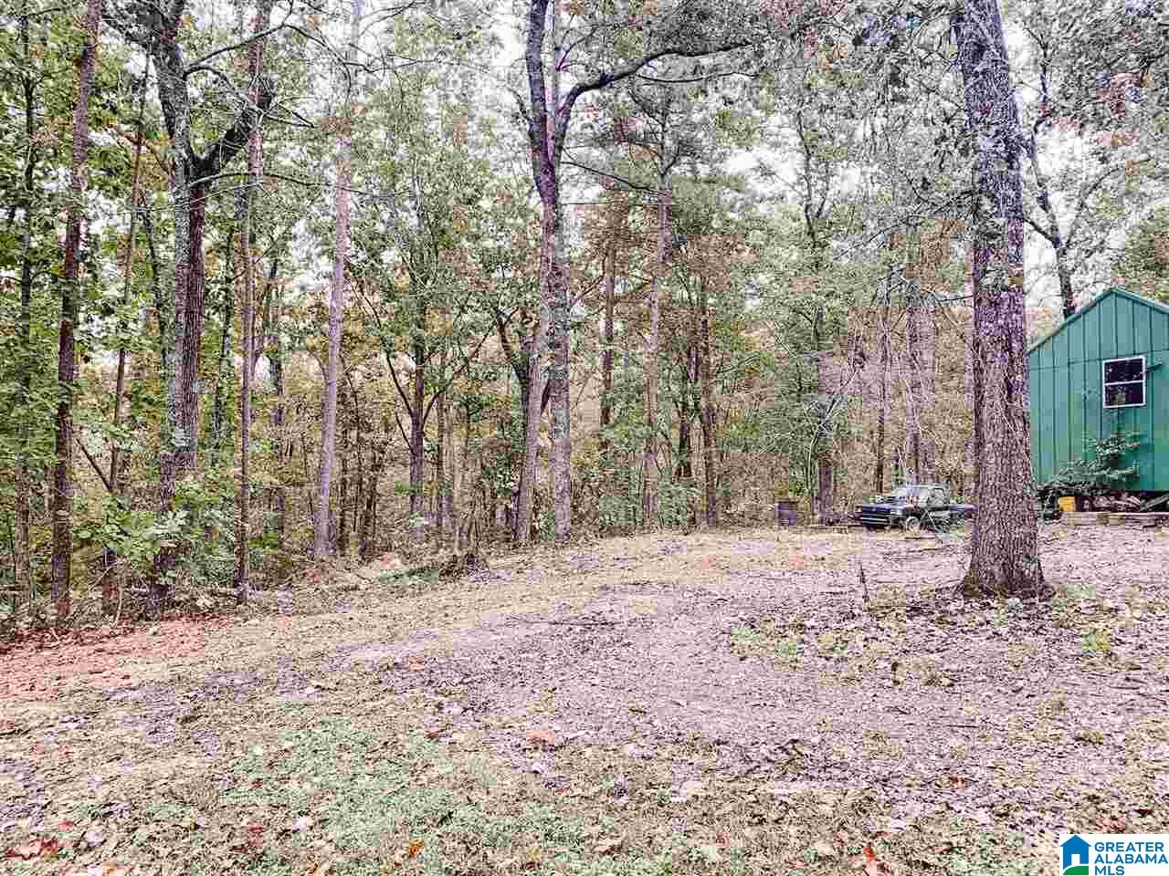 281 Colvin Springs Road Ashville, AL 35953 - Photo 9 of 34
