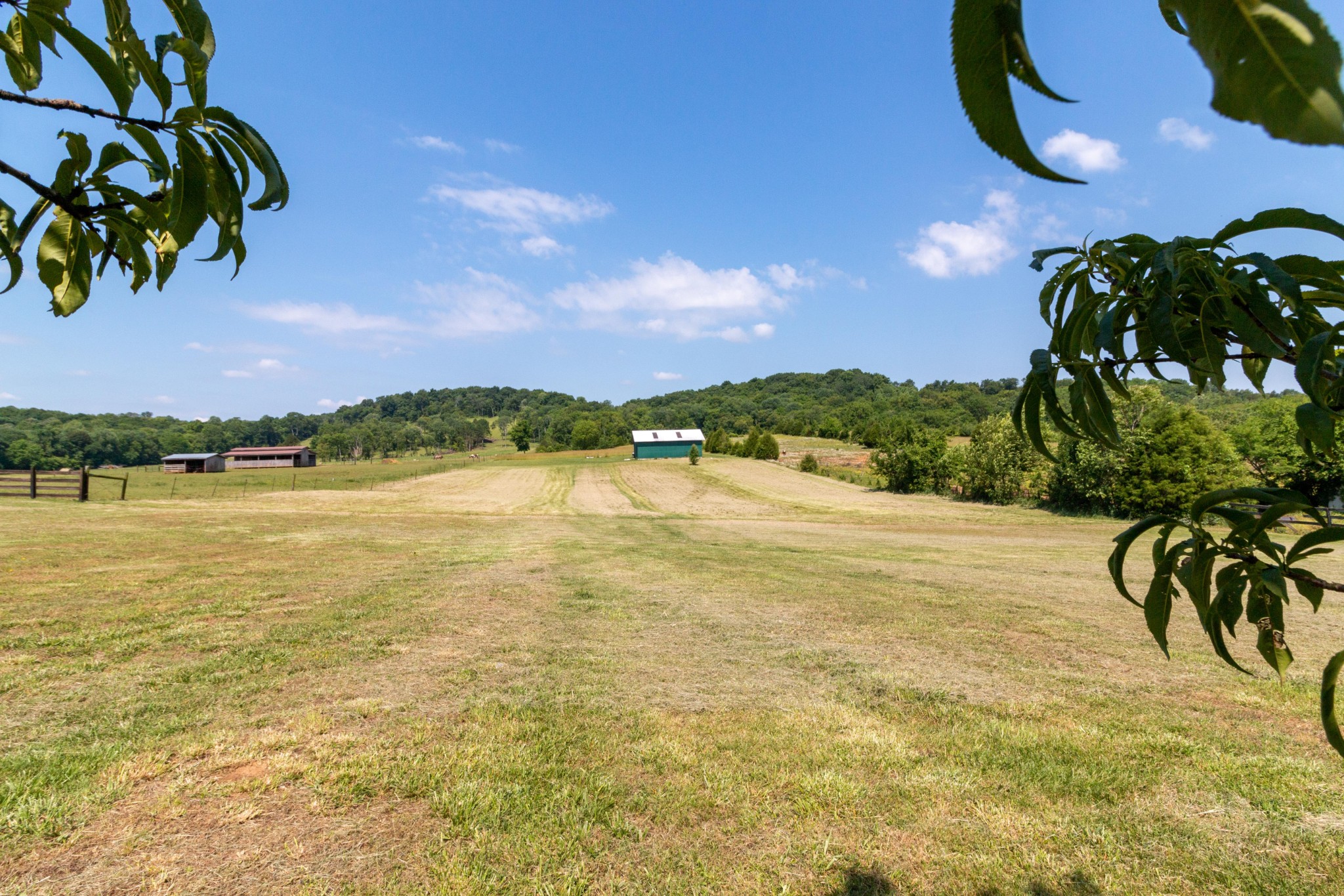 3375 Booker Farm Road Mount Pleasant, TN 38474 - Photo 41 of 44 Gallery Image 41