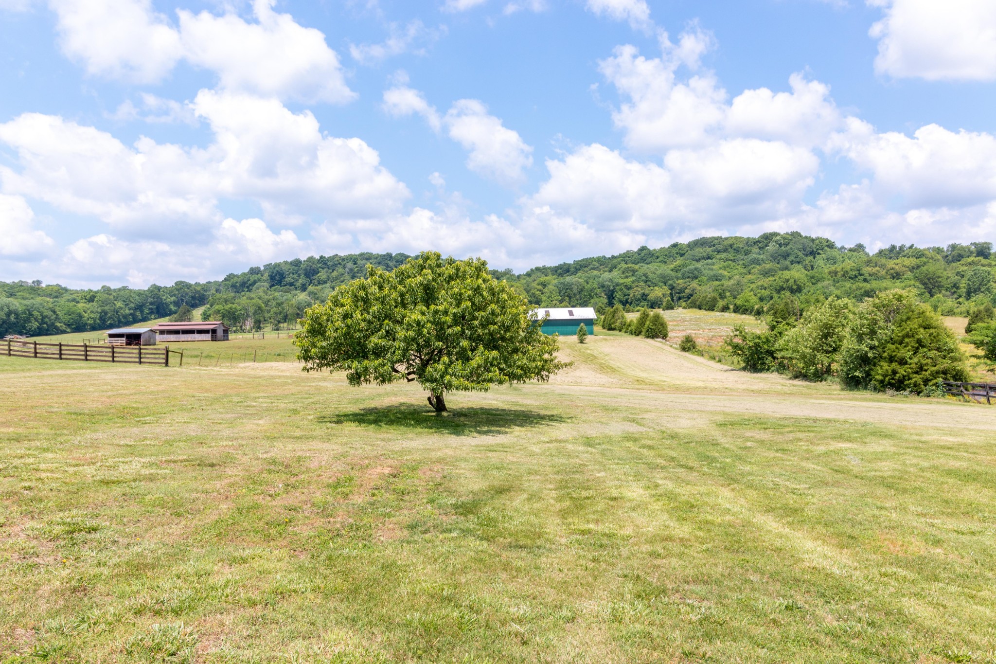 3375 Booker Farm Road Mount Pleasant, TN 38474 - Photo 42 of 44 Gallery Image 42