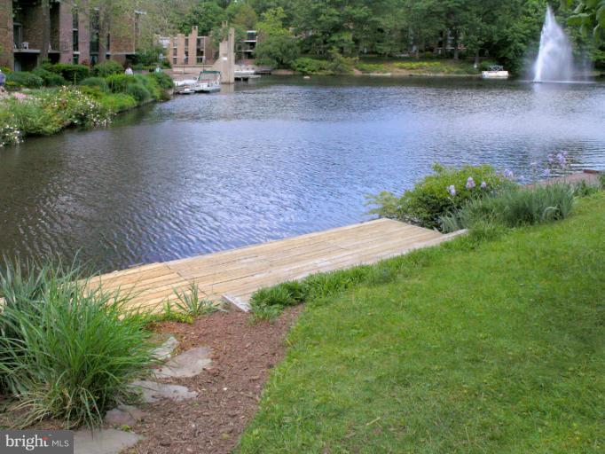 11438 Waterview Cluster Reston, VA 20190 - Photo 4 of 30 Shared Dock just out back