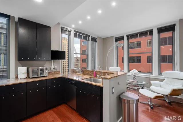 $229,900 | 314 North Broadway, Unit 1703, St. Louis, MO 63102