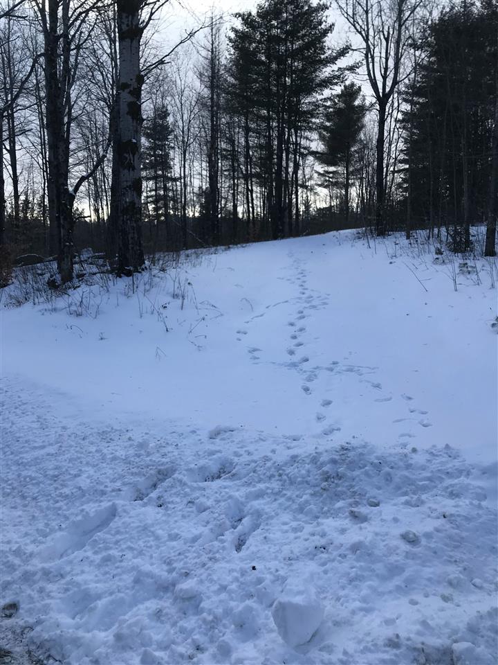421 Goose Green Road Vershire, VT 05079 - Photo 2 of 10