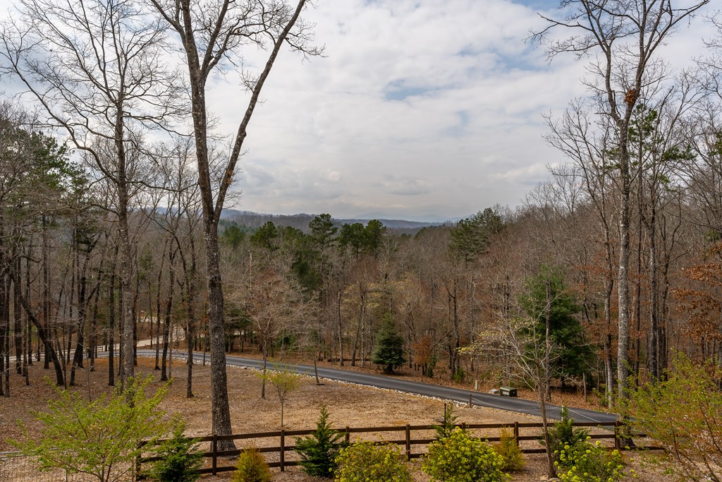 128 Ridge Brook Drive Morganton, GA 30560 - Photo 48 of 61