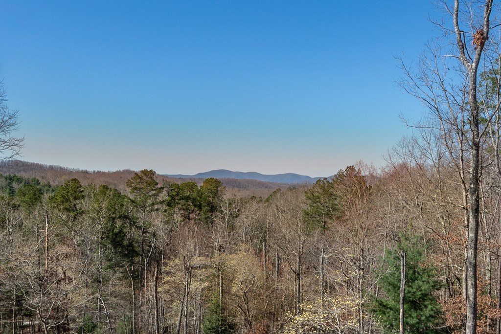 128 Ridge Brook Drive Morganton, GA 30560 - Photo 58 of 61