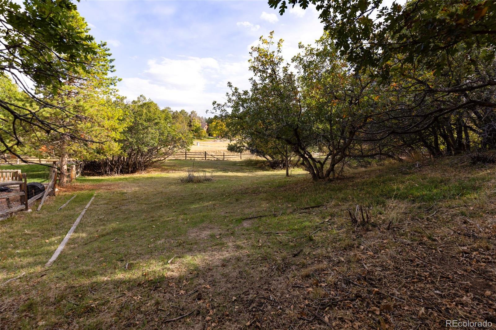 8100 Tempest Ridge Way Parker, CO 80134 - Photo 9 of 10 Gallery Image 9