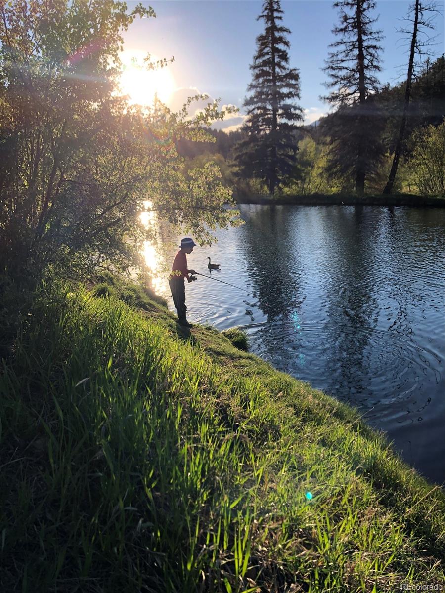 57920 US Highway 285, Unit 8 Bailey, CO 80421 - Photo 26 of 29 a view of a lake from a yard