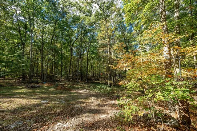 a view of a yard with a tree