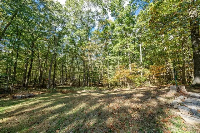 a view of outdoor space with trees
