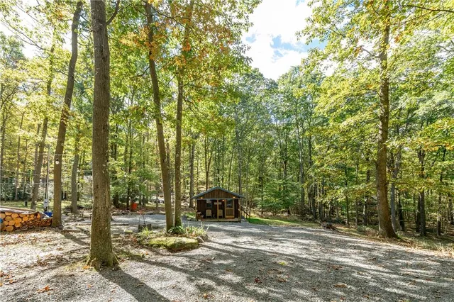 a view of a park that has large trees and plants