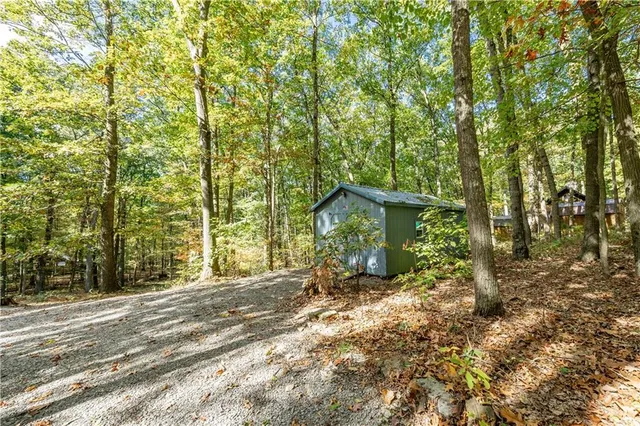 a view of a yard with plants and trees