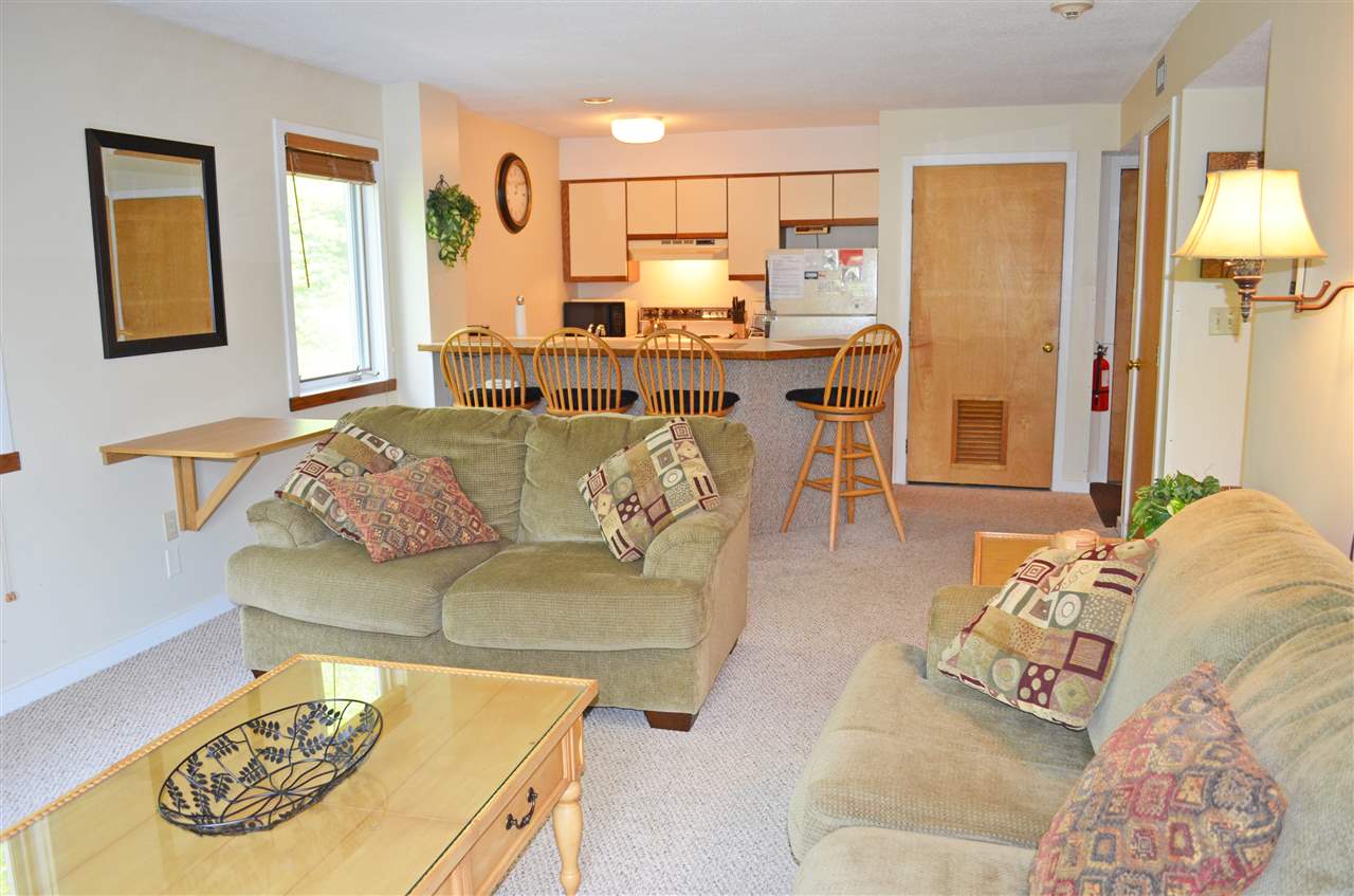 109 Okemo Ridge Road, Unit C210 Ludlow, VT 05149 - Photo 10 of 35 Gallery Image 10