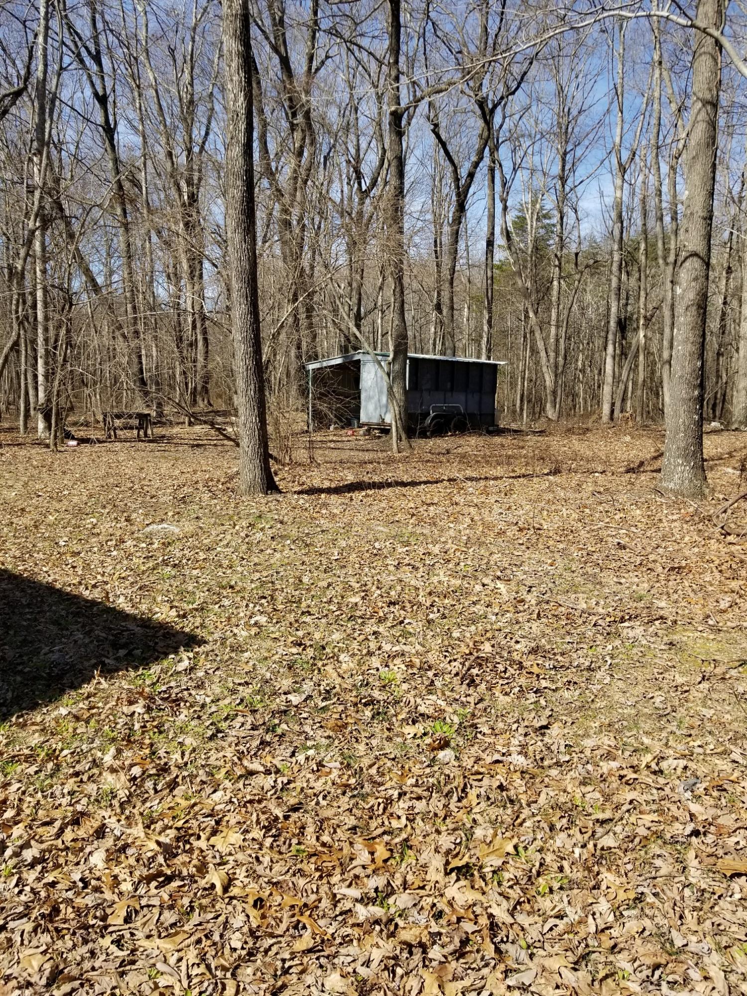 6575 Blacksburg Road Catawba, VA 24070 - Photo 12 of 14 a view of a backyard with large trees