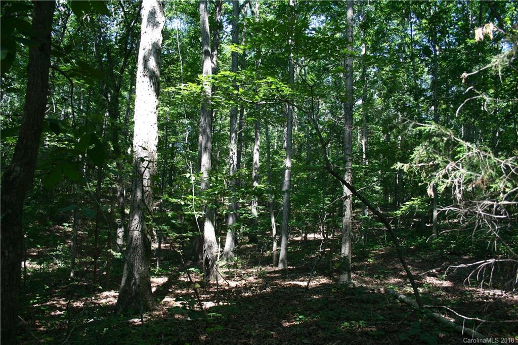 906 Woods Loop Waxhaw, NC 28173 - Photo 5 of 11 a view of outdoor space and green space