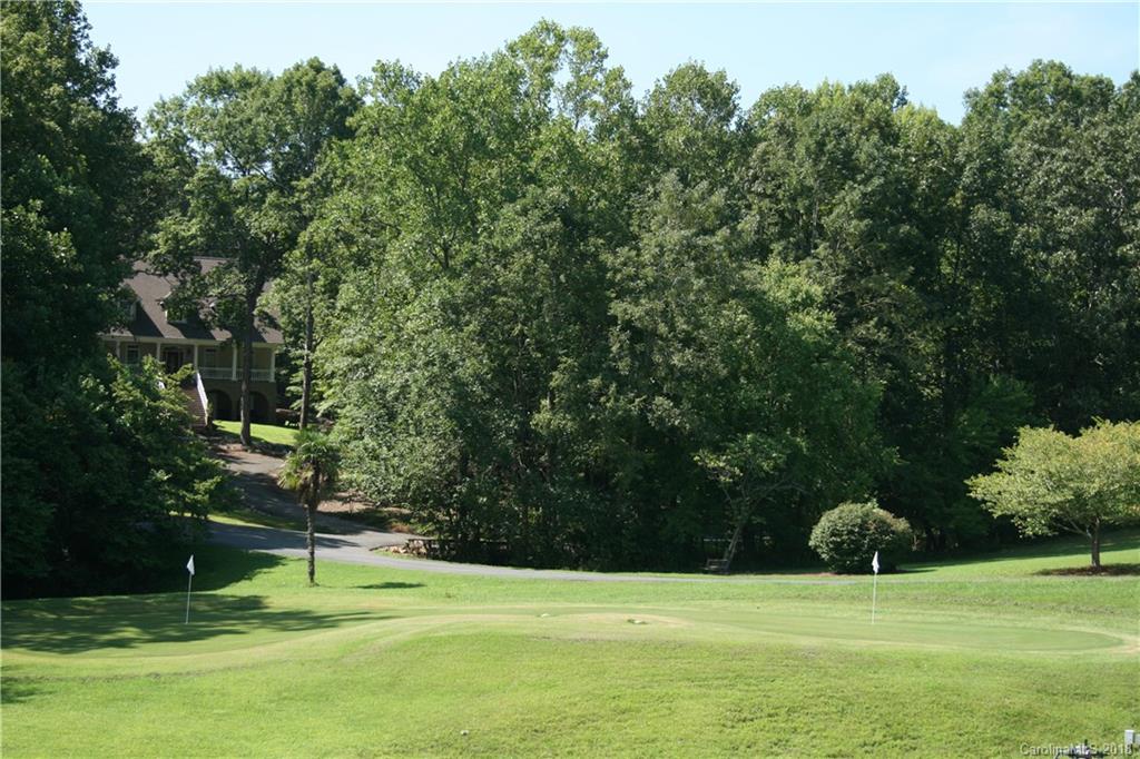 906 Woods Loop Waxhaw, NC 28173 - Photo 8 of 11 a view of a park with large trees