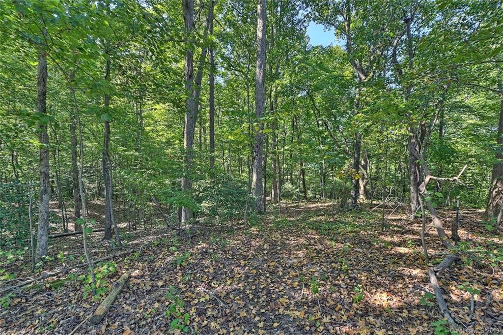 4945 Burris Road Denver, NC 28037 - Photo 32 of 33 Gallery Image 32