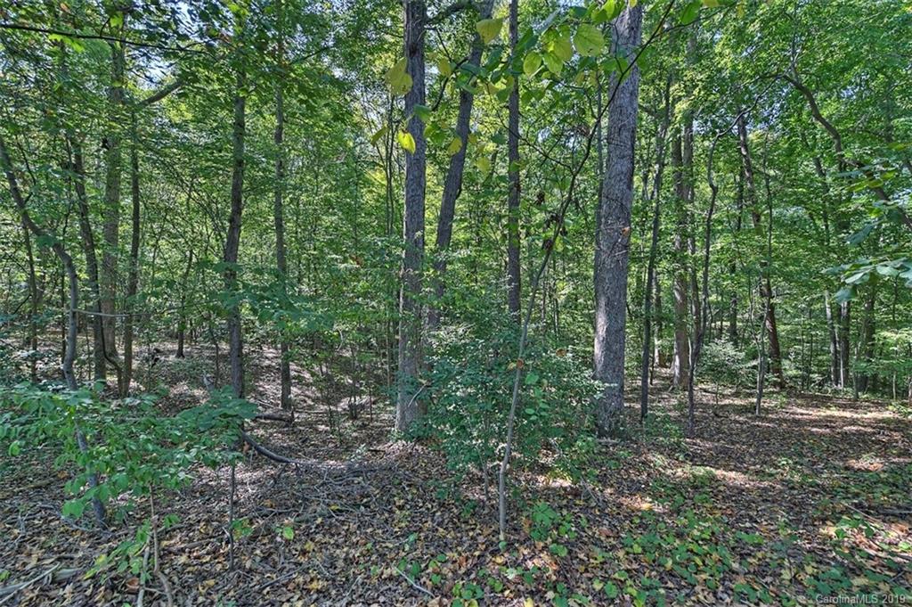 4945 Burris Road Denver, NC 28037 - Photo 33 of 33 Gallery Image 33