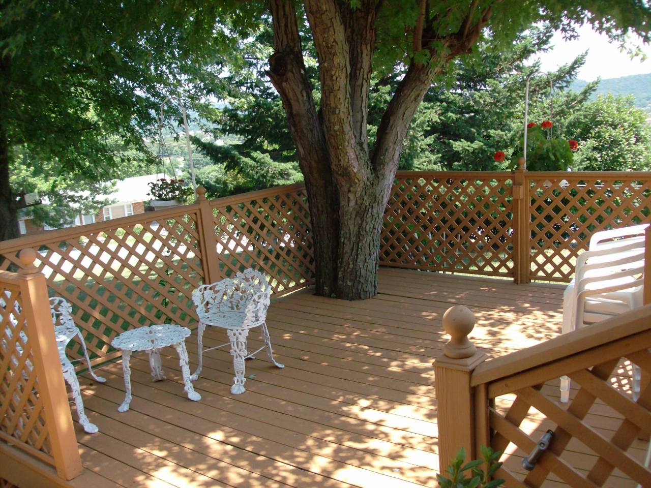 720 Olney Road Vinton, VA 24179 - Photo 18 of 19 Deck in Parklike Backyard