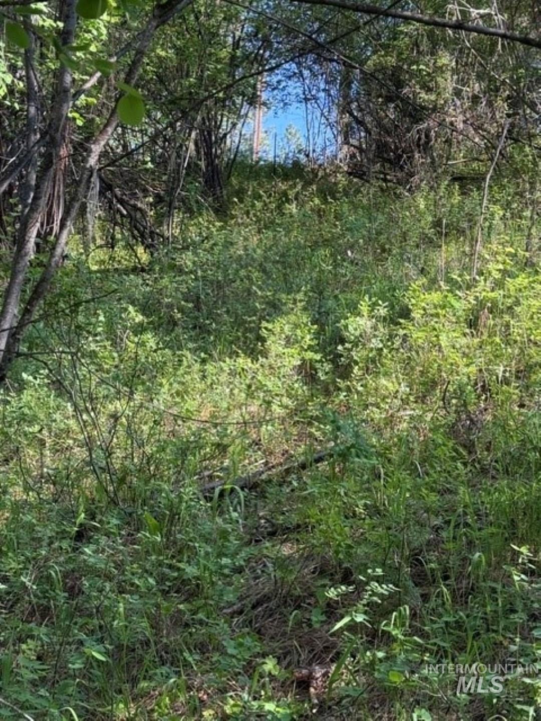 Parcel C Caseys Road Garden Valley, ID 83622 - Photo 18 of 20