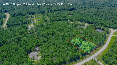 a view of a lush green forest with a street sign