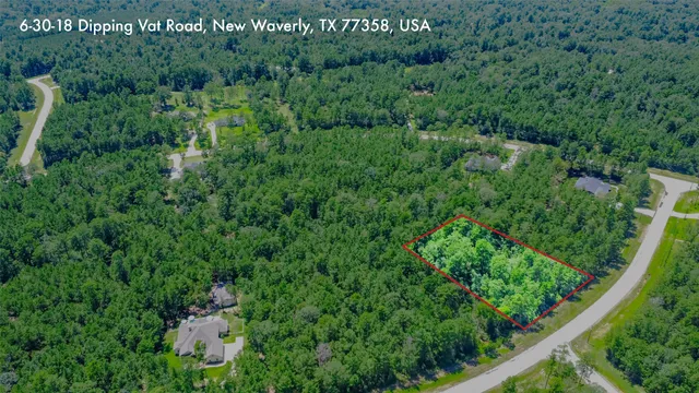 a view of a lush green forest with a street sign