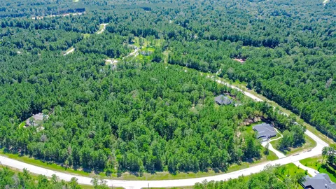 a view of a yard with plants and large trees