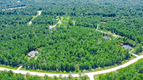 a view of a lush green forest with trees and some houses