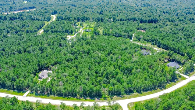 a view of a lush green forest with trees and some houses