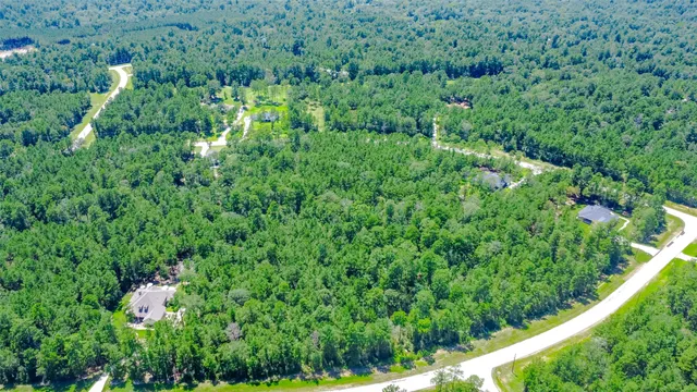 a view of a lush green forest with trees in the background