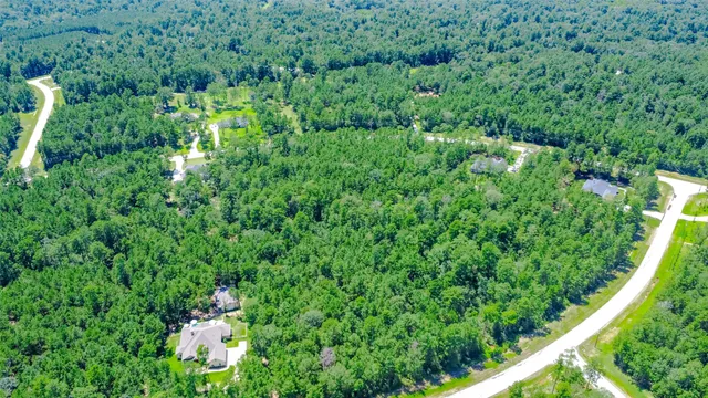 a view of a lush green forest with lots of trees