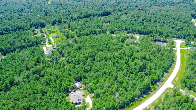 a view of a yard with plants