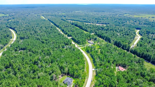 a view of a city with lush green forest