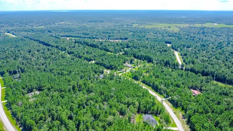 a view of a lush green forest with lots of trees