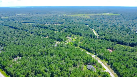 a view of a lush green forest