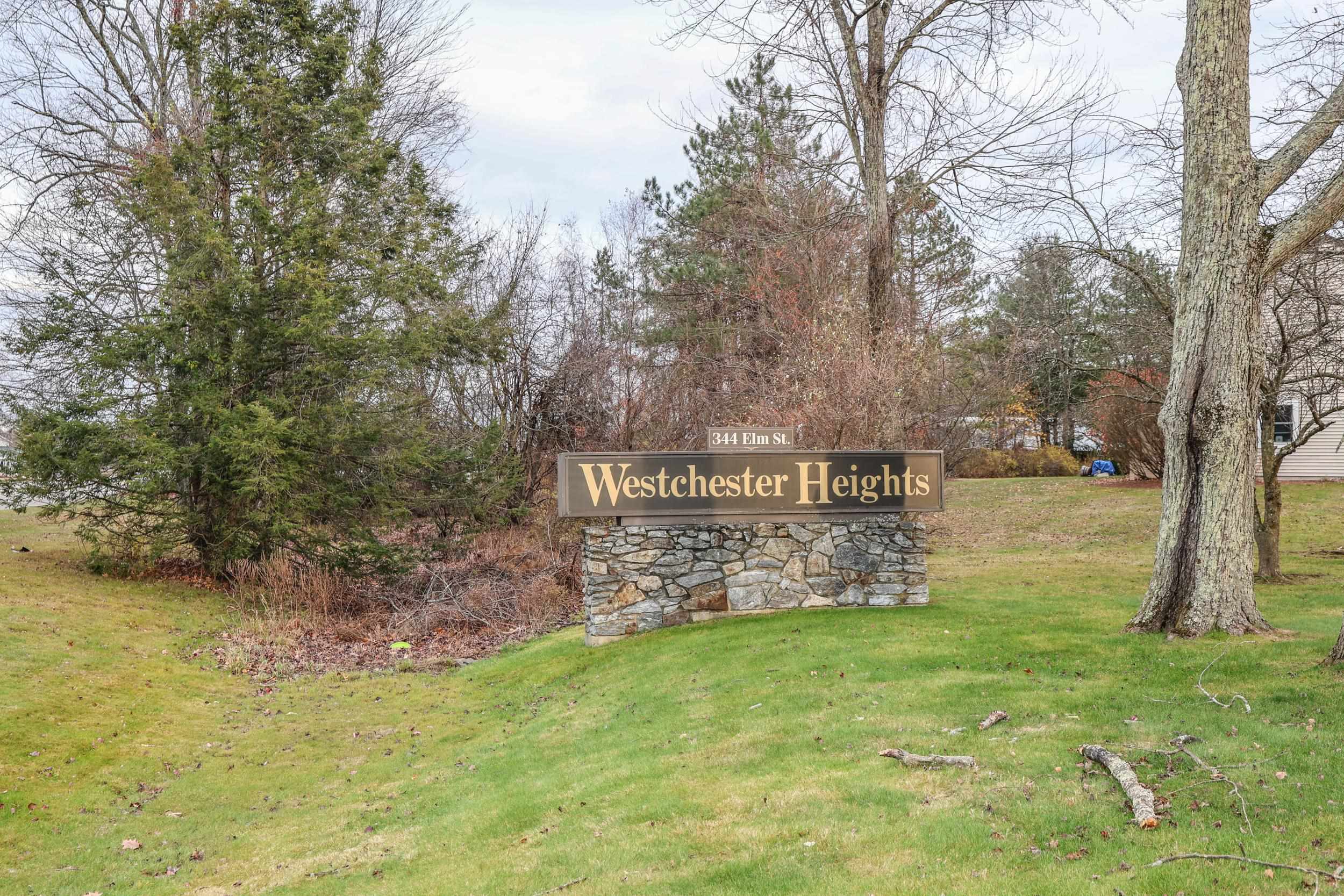 344 Elm Street, Unit 14 Milford, NH 03055 - Photo 39 of 39