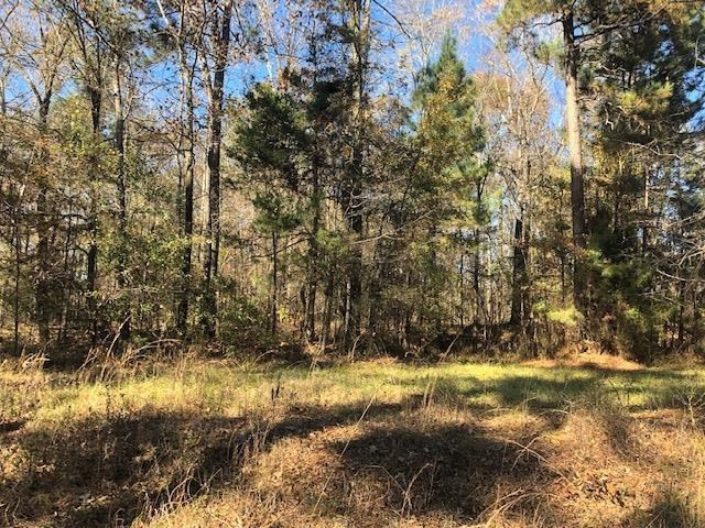 0 Value Road Brandon, MS 39042 - Photo 2 of 4 Photo 2