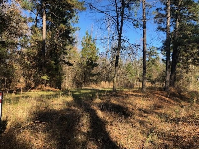 0 Value Road Brandon, MS 39042 - Photo 3 of 4 Photo 3