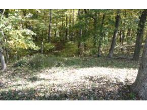 3745 South Leonard Springs Road Bloomington, IN 47403 - Photo 3 of 9 Gallery Image 3