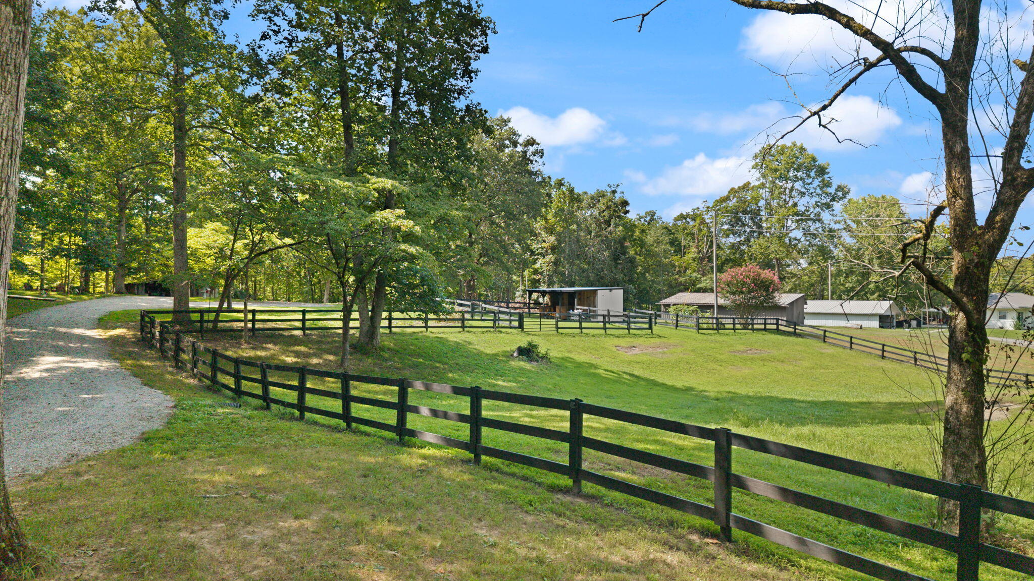 267 Cape Road Jamestown, KY 42629 - Photo 15 of 55 14-web-or-mls-DJI_20260831153134_0112_D
