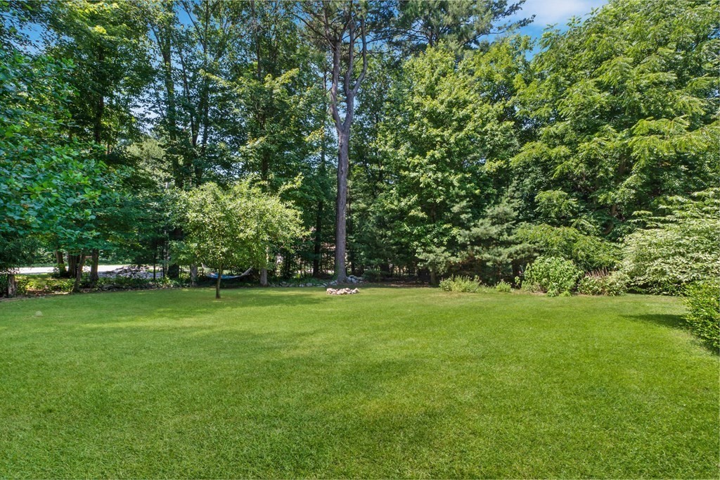 10 Eldor Drive Walpole, MA 02071 - Photo 22 of 38