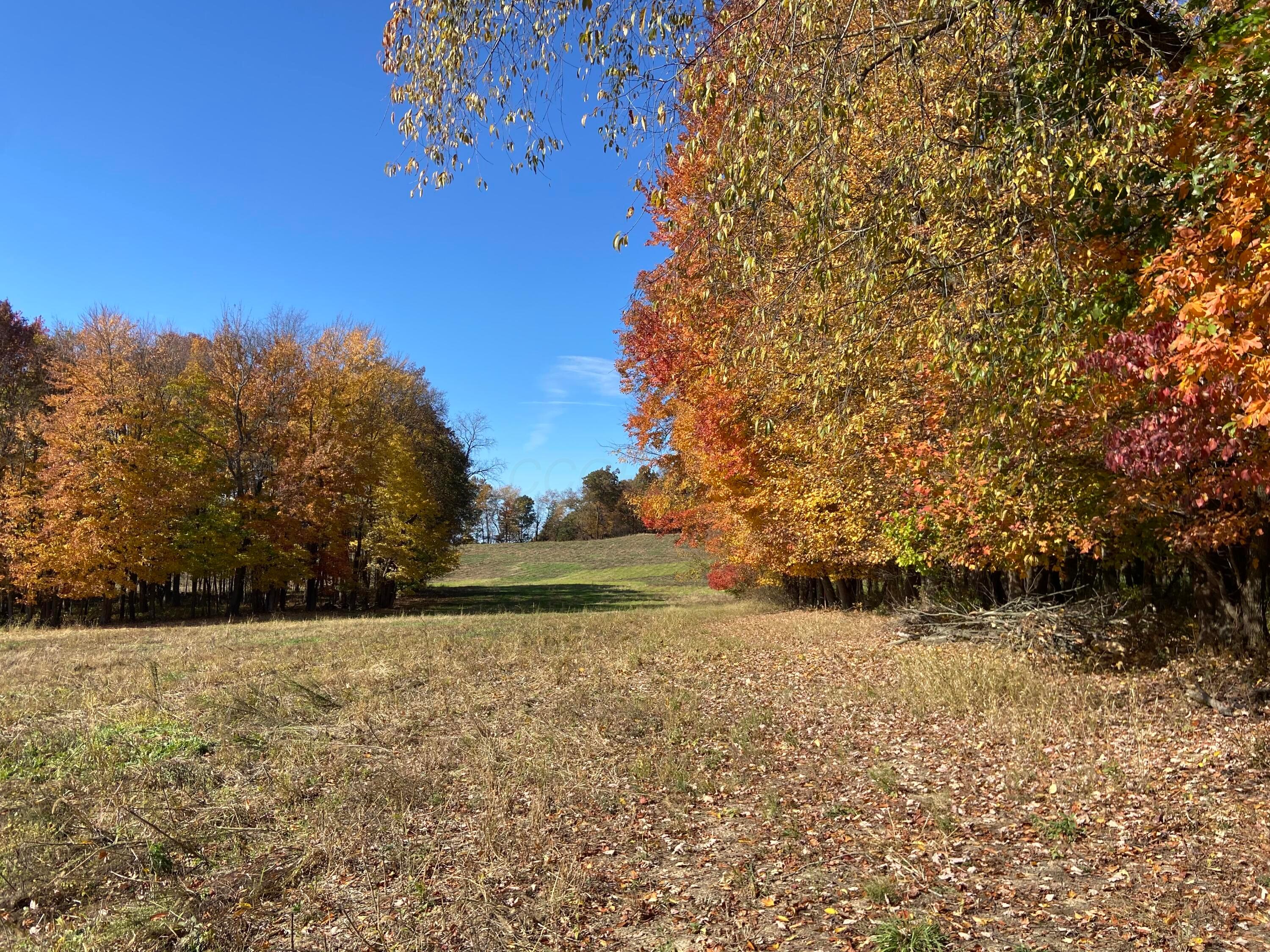 0 Dog Hollow Road, Unit LOT #5 Utica, OH 43080 - Photo 23 of 24