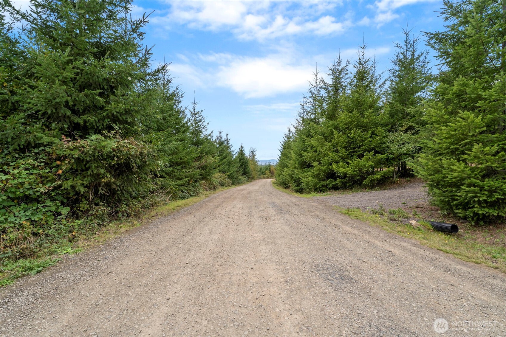 0 Bootjack Lane Kelso, WA 98626 - Photo 10 of 30 Gallery Image 10
