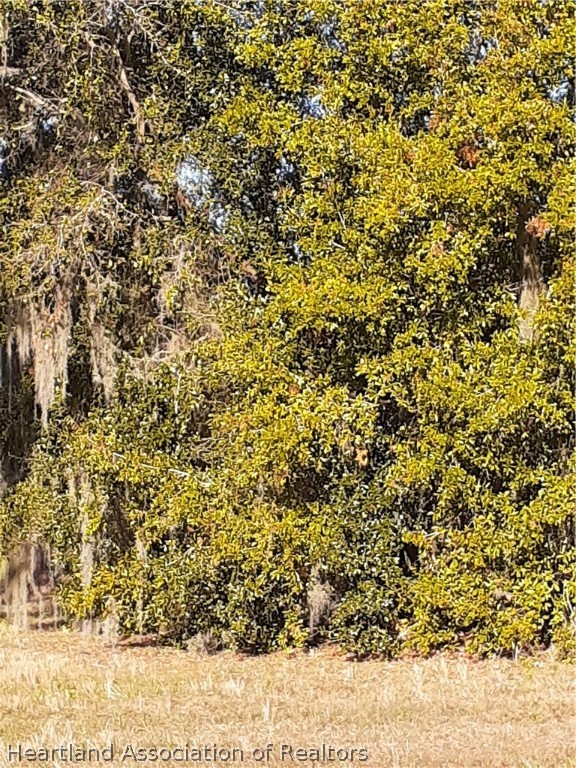 5961 Thunder Road Sebring, FL 33876 - Photo 3 of 3 Gallery Image 3