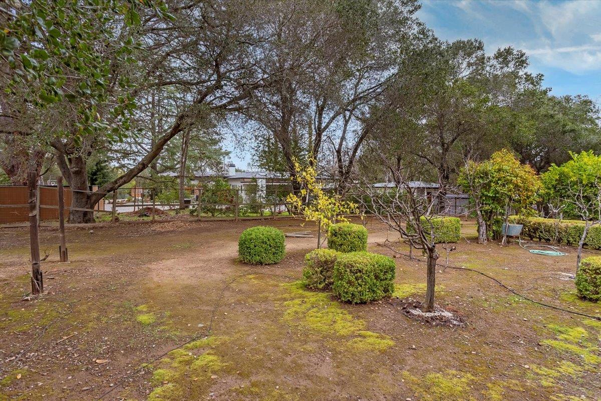 19401 San Marcos Road Saratoga, CA 95070 - Photo 38 of 59